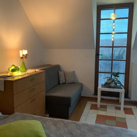 Apartment Ljubljana * リュブリャナ